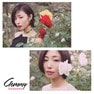 【Gemmy blossoms】ジュエルリップ＜クリア＞4.5g×10本 3