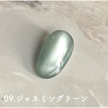 D.nail グロスマグジェル09 ジャスミングリーン