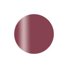 Calgel カラーカルジェルプラス ダスティマゼンタ 2.5g