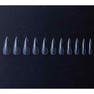 KOKOIST Gelip Stiletto Extra Long 2
