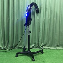 WAKUWAKU &alpha;（わくわく&alpha;）