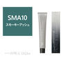 プロマスター アプリエグロー SMA（スモーキーアッシュ）10 80g《グレイカラー》【医薬部外品】 1
