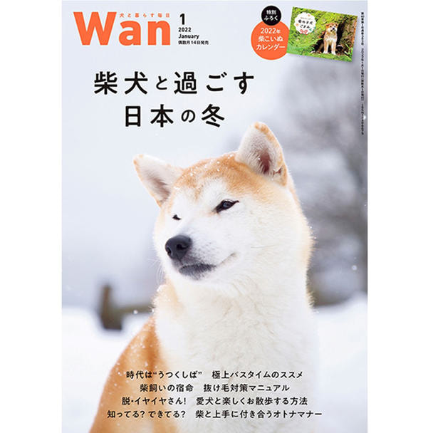 【定期購読】Wan （ワン） [偶数月14日・年間6冊分]