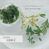264207_1.jpg