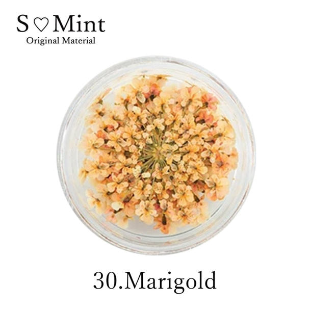 SMint レースフラワー 30.マリーゴールド