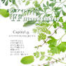 【Flap eyelashes】FFアイグロウシャンプー 100ml　 4