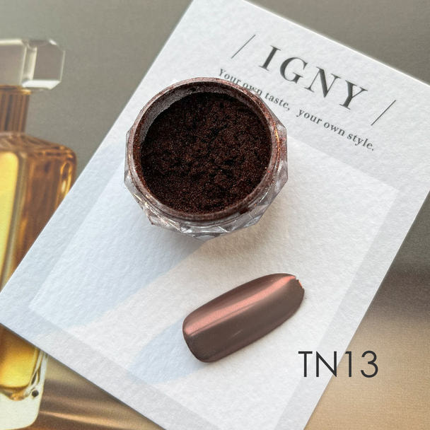 IGNY 大人のミラーパウダー リッチブロンズ