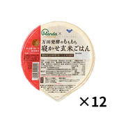 万田発酵 もちもち寝かせ玄米Ⓡごはん×12個