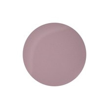 [PG-CE927] プリジェル カラーEX 絹肌 3g