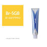 カラーストーリーi プライム Br-5GB《グレイカラー》90g【医薬部外品】 1