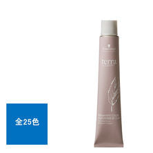 テラ by エッセンシティ《グレイカラー》85g