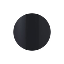 Raygel カラージェル アイシング I2 4g（国産）