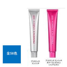 【PRIMIENCE ENRICH】プリミエンスエンリッチ 80g《グレイカラー》【医薬部外品】※2024/8リニューアル予定※