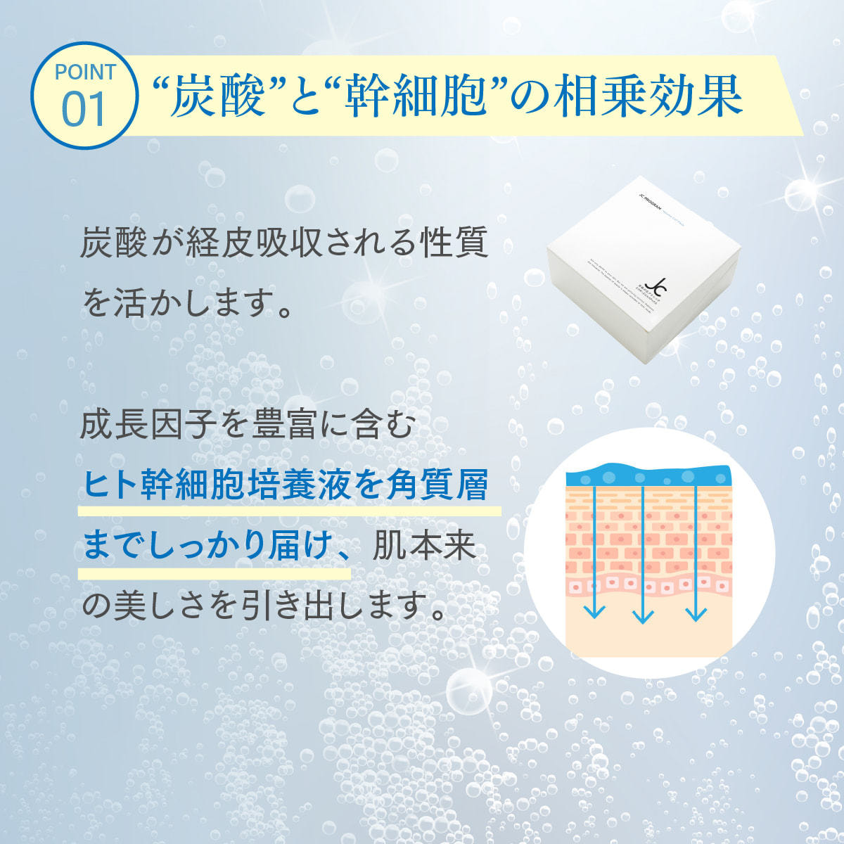 JC PROGRAM レジュモCO2パック 10回分の卸・通販 | ビューティガレージ