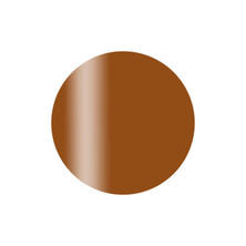 Calgel カラーカルジェルプラス モードアンバー 2.5g