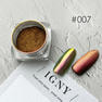 IGNY マグネットパウダー＜ダブルトーン＞#007