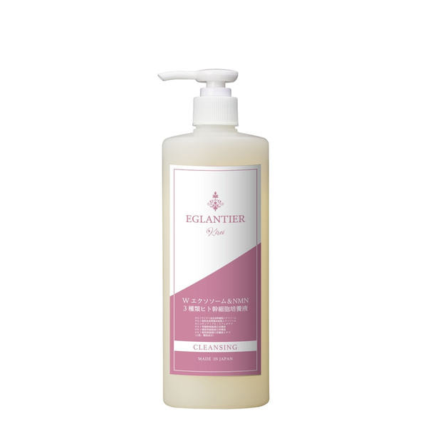 エグランティエ クレンジング キレイ500mL【業務用】 1