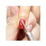 Nail Labo ジェルビットセット 019154 3