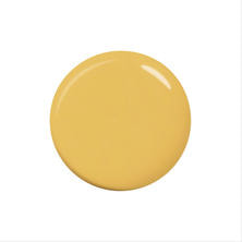 paragel（パラジェル）カラージェル DD07 アンバーイエロー 3g