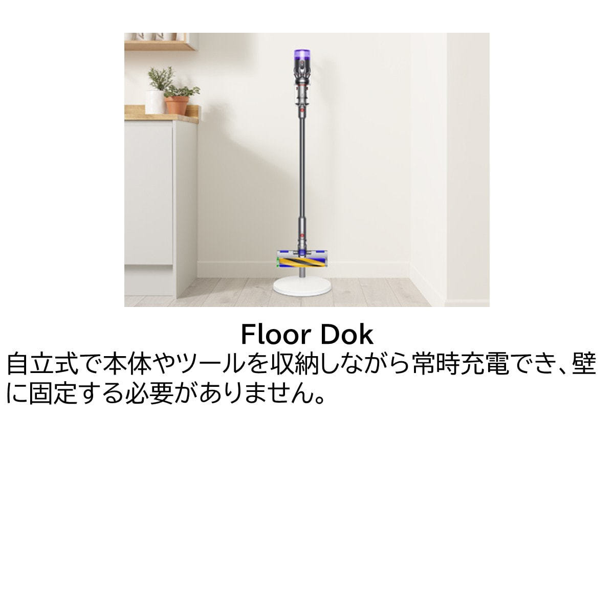 Dyson Micro Plus SV33 FF PL≪掃除機/クリーナー≫の卸・通販