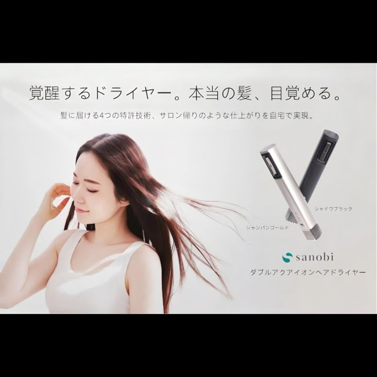 ダブルアクアイオンドライヤーBL-HD1 シャドウブラック（1200W）の卸