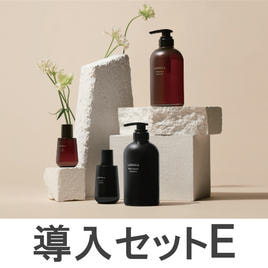 Ladulla（ラデュラ）導入セットのスキャルプケア用シャンプー商品の卸