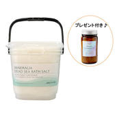 ミネラリア デッドシーバスソルト ナチュラル 5kg（バケツ入り）