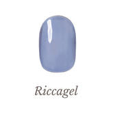 【美品】カラージェル各種 リッカジェル 大量 まとめ売り ケース付き 118色 カラージェル 006G / Riccagel(リッカジェル) | LIPS