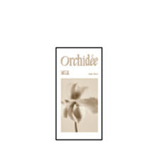 メゾンオルキデ リッチミルクサシェ（5ml）