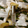 ARTiS di Voce ネイルオイル 5ml ロールオン 3301 DEW OF NEROLI 2