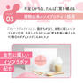 Bicho フローラプロテインN3 294g（21g×14包） 14