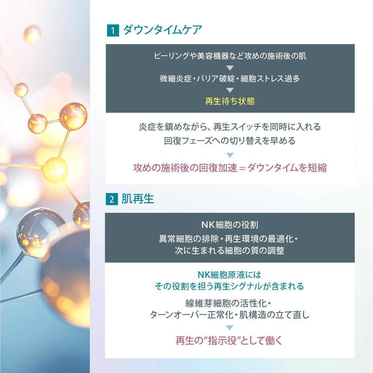 ICR Beauty HD-KANRI NK細胞原液 30mlの卸・通販 | ビューティガレージ