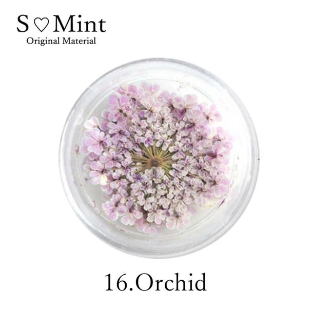 SMint レースフラワー 16.オーキッド