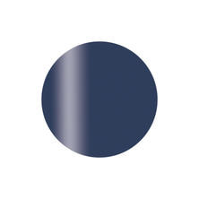 Calgel カラーカルジェルプラス ブルーノクターン 2.5g