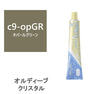 オルディーブ クリスタル ハイブライト c9-opGR(オパールグリーン) 80g【医薬部外品】 1