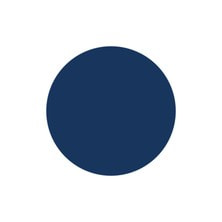 [PGU-S213] プリジェル ミューズ シアーネイビー 3g