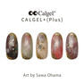 Calgel カラーカルジェルプラス トゥルーベージュ 2.5g 4