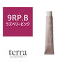 テラ by エッセンシティ 9RP.B《グレイカラー》85g【医薬部外品】 1