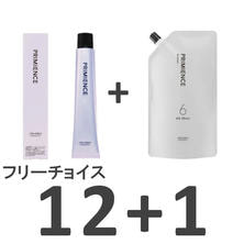 プリミエンス 80g《グレイカラー》フリーチョイス12本＋デベロッパー 6%x 1000mL&times;1本【医薬部外品】