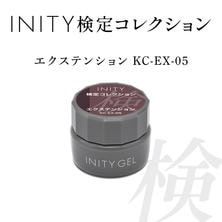 INITY 検定コレクション エクステンション 5g