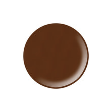 STORYJEL365 カラージェル ガトーショコラ 2g（SJM-093M-2G）