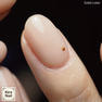 KiraNail fumiプロデュース PLUSONE STUDS/1.0  ソリッドカラーアソート 5