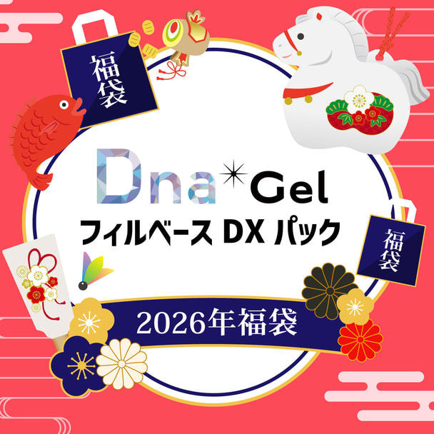 数量限定！】DnaGel(フィルベース)DXパック 2026年福袋の卸・通販