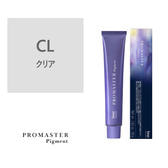 プロマスターピグメント CL 80g《ファッションカラー》【医薬部外品】