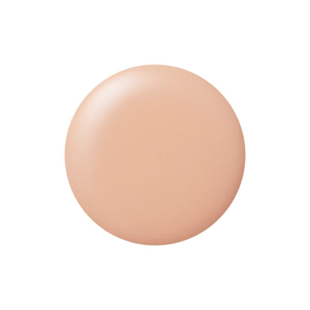 KOKOIST Color Gel 2.5g E-252 Warm Concealer