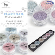 【PD51076】Star Bit&#39;s なかやまちえこ先生監修 フラッシュネイルパウダー 6色セット