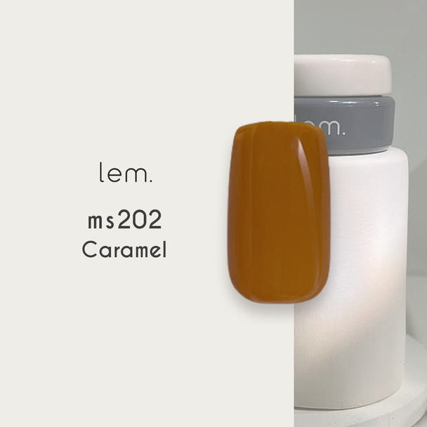 lem. カラージェル ms202 キャラメル 1