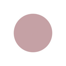 [PGU-M119] プリジェル ミューズ トラディショナルセピア 3g