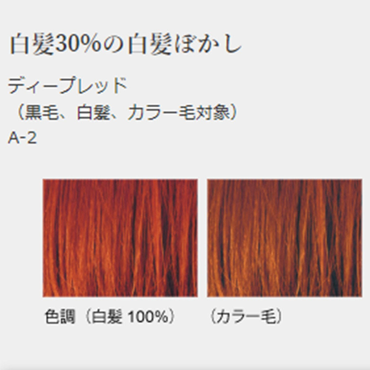 ジャパンヘナ ディープレッド100gの卸・通販 | ビューティガレージ