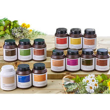 ナッシュ ナチュラルハーブカラー 導入セットB